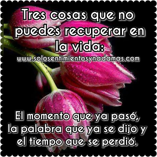 Tres cosas que no puedes recuperar... - Solo sentimientos y nada mas