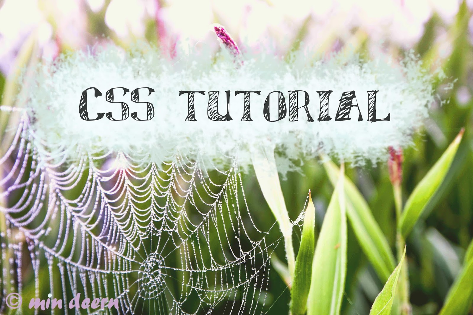 CSS Tutorial: Bilder richtig anordnen