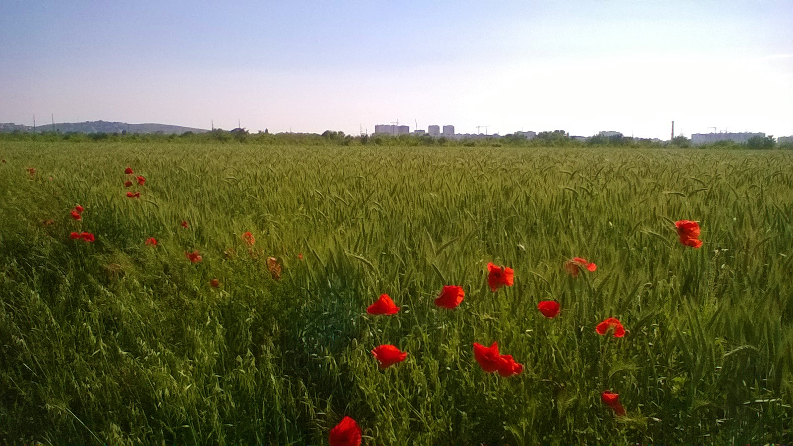 Переезд в Анапу на ПМЖ