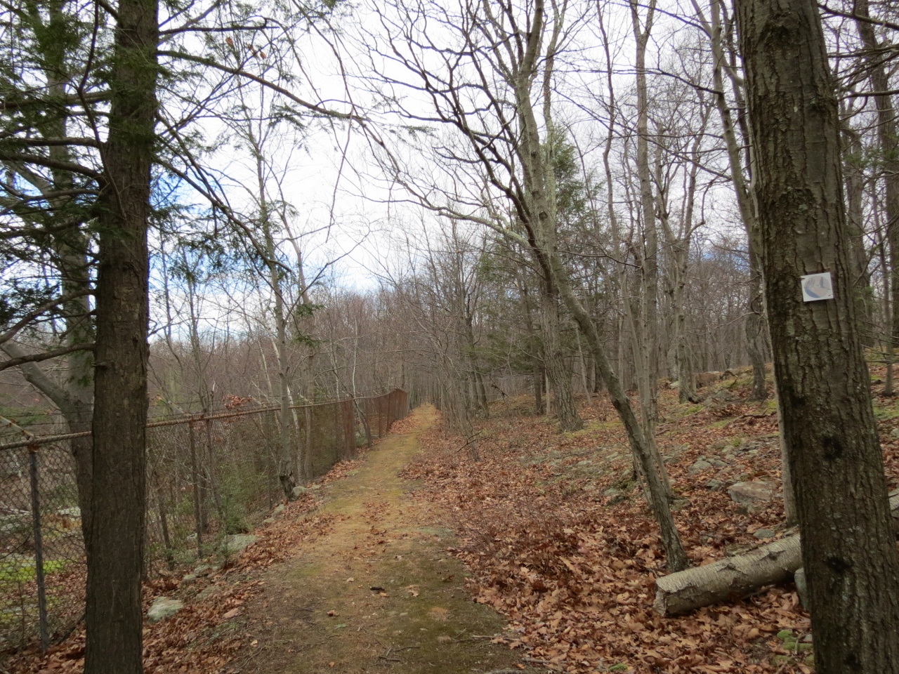 Gone Hikin' Sparta Mountain WMA, NJ Edison Trail