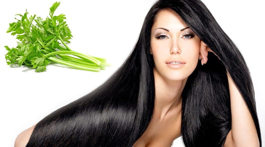 Cara Membuat Masker Rambut dari Seledri di Rumah (Mudah