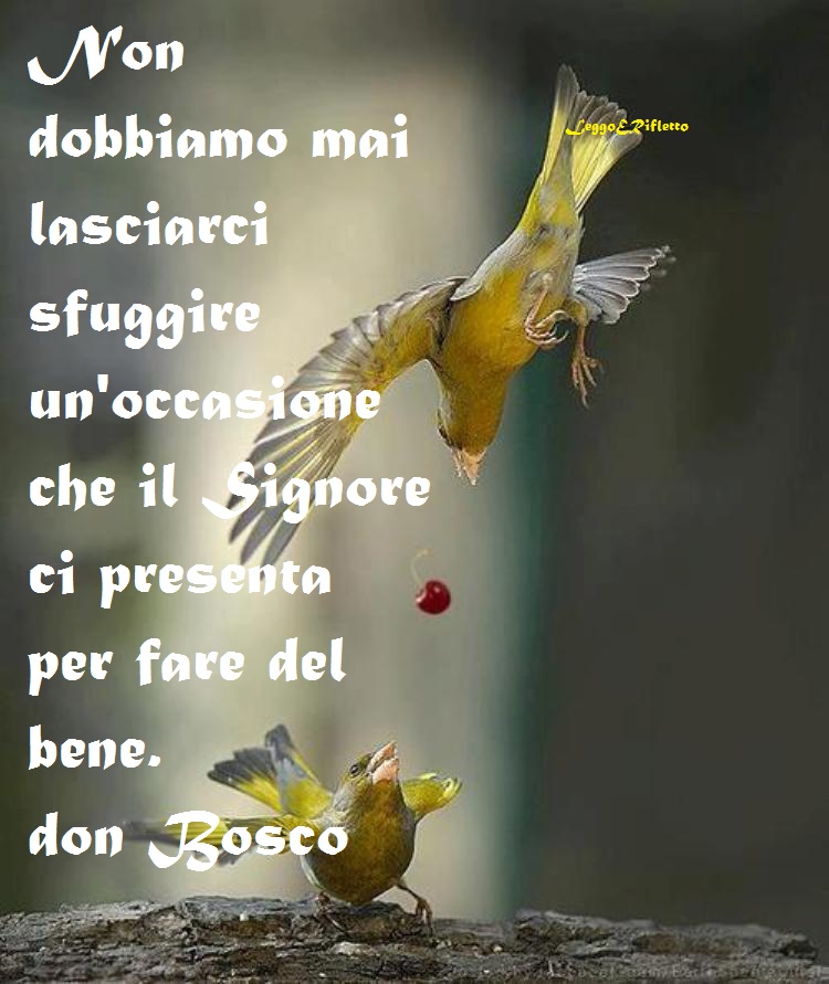 Brunswick Bowling Products Brunswick Bowling