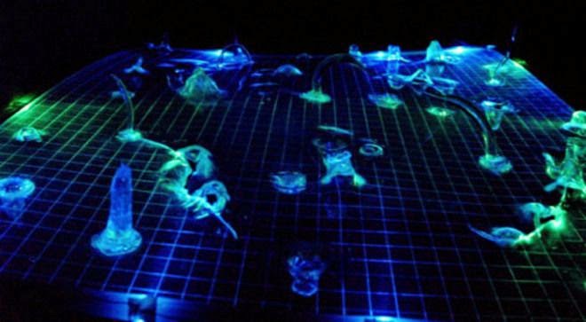 El reino del Multiverso