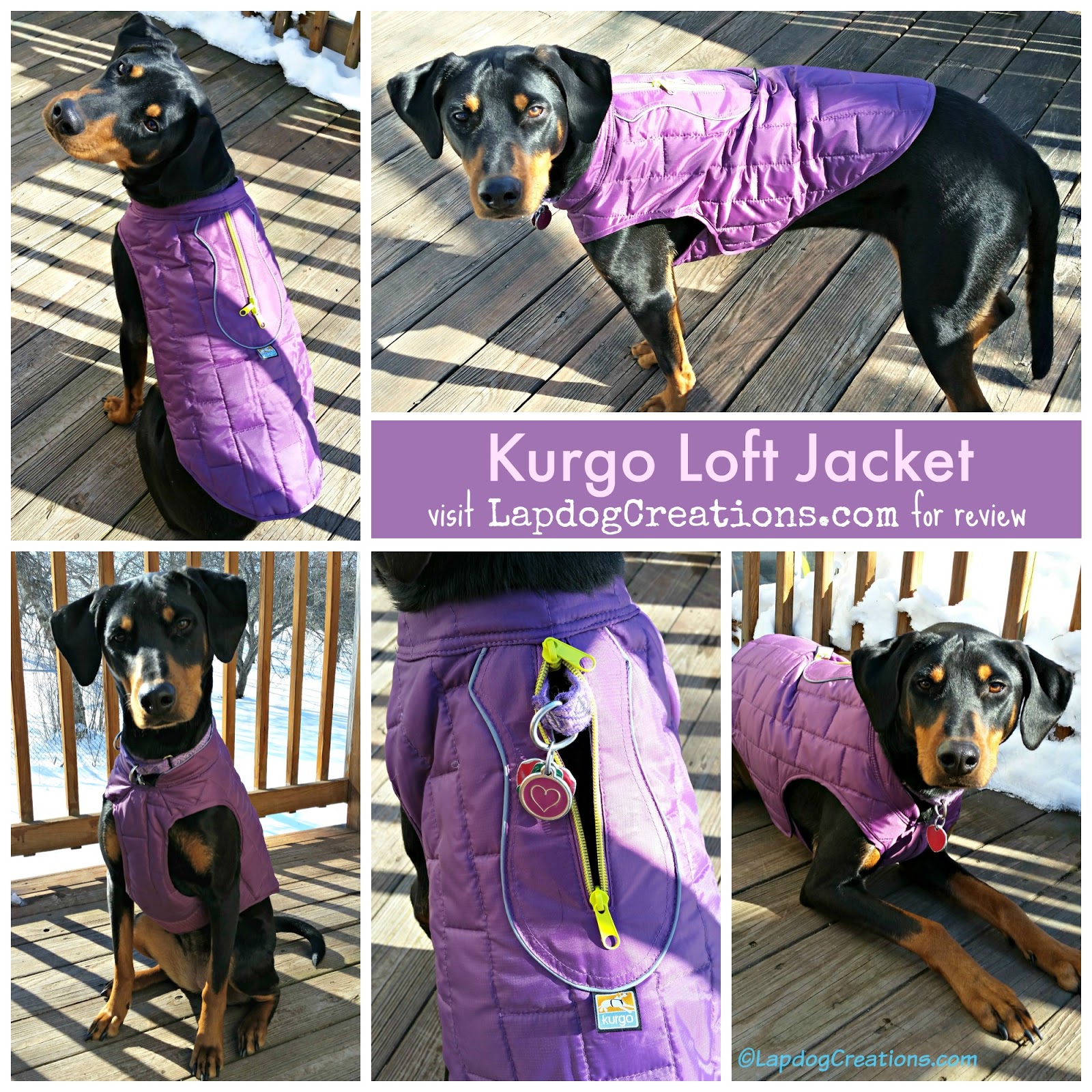 Kurgo Loft Reversible Dog Coat 2025