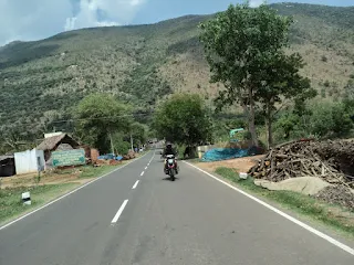 Bikes parked near the Nilgiri trees on the hilltop