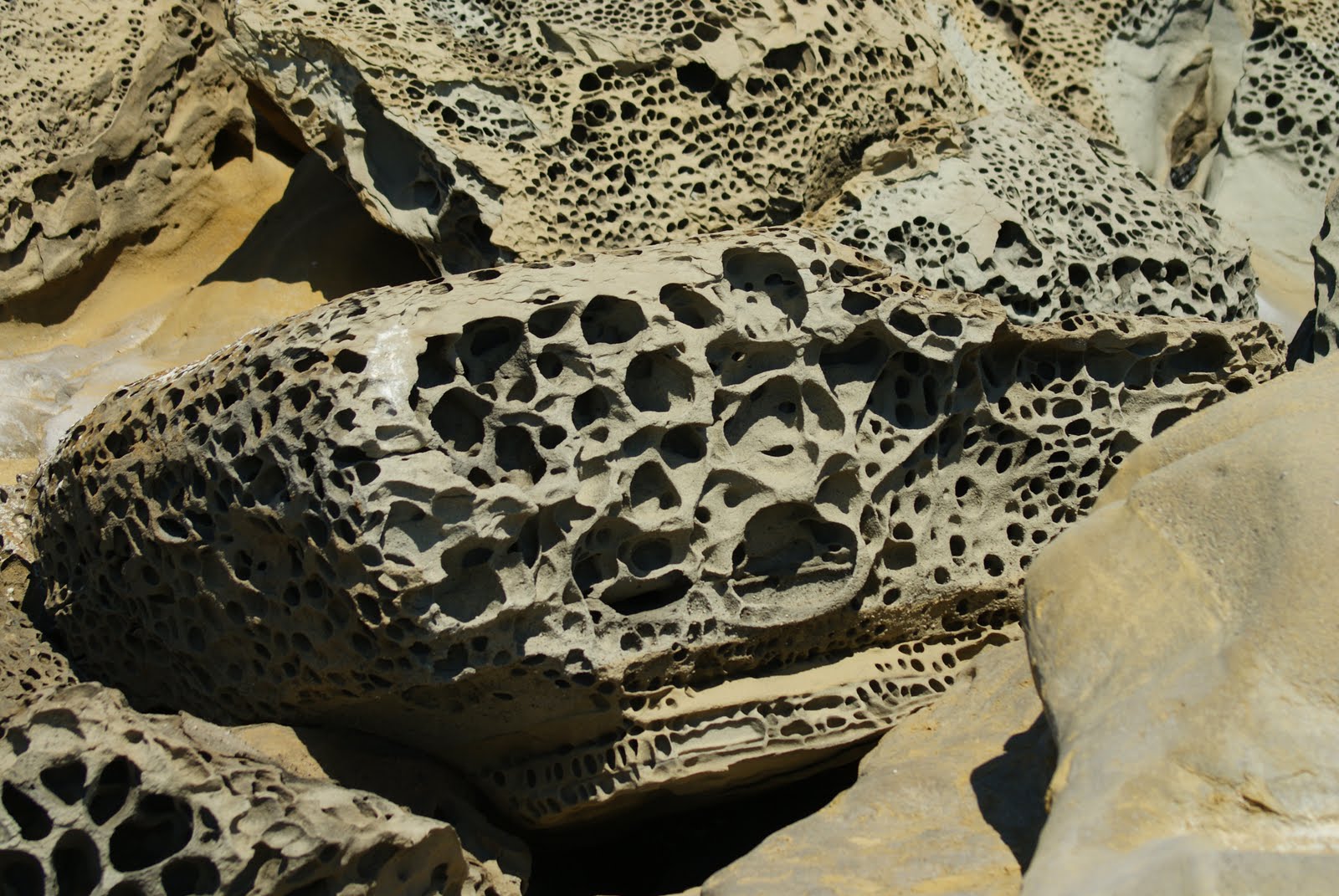 Çanakkale Büyük Kemikli Burnu