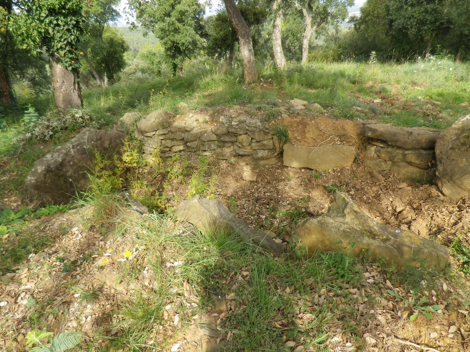 Dòlmens i Menhirs Pilar Dolmen del Turó de Sant Dalmau Pla de l´Estany