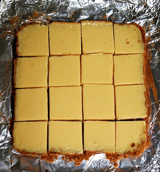 Lemon Graham Squares Abby learns how to bake!