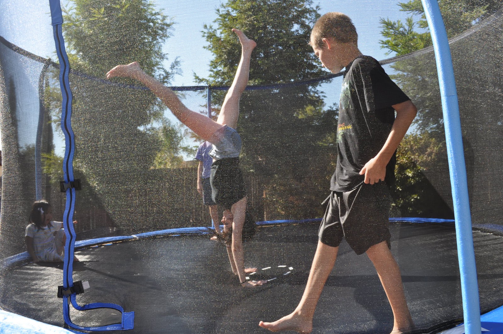 Greatly Blessed Trampoline Update