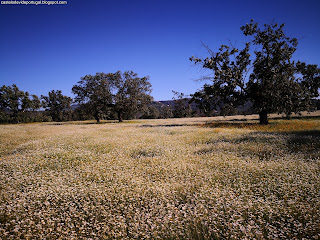 NATURE, Castelo de Vide, Alentejo, Portugal