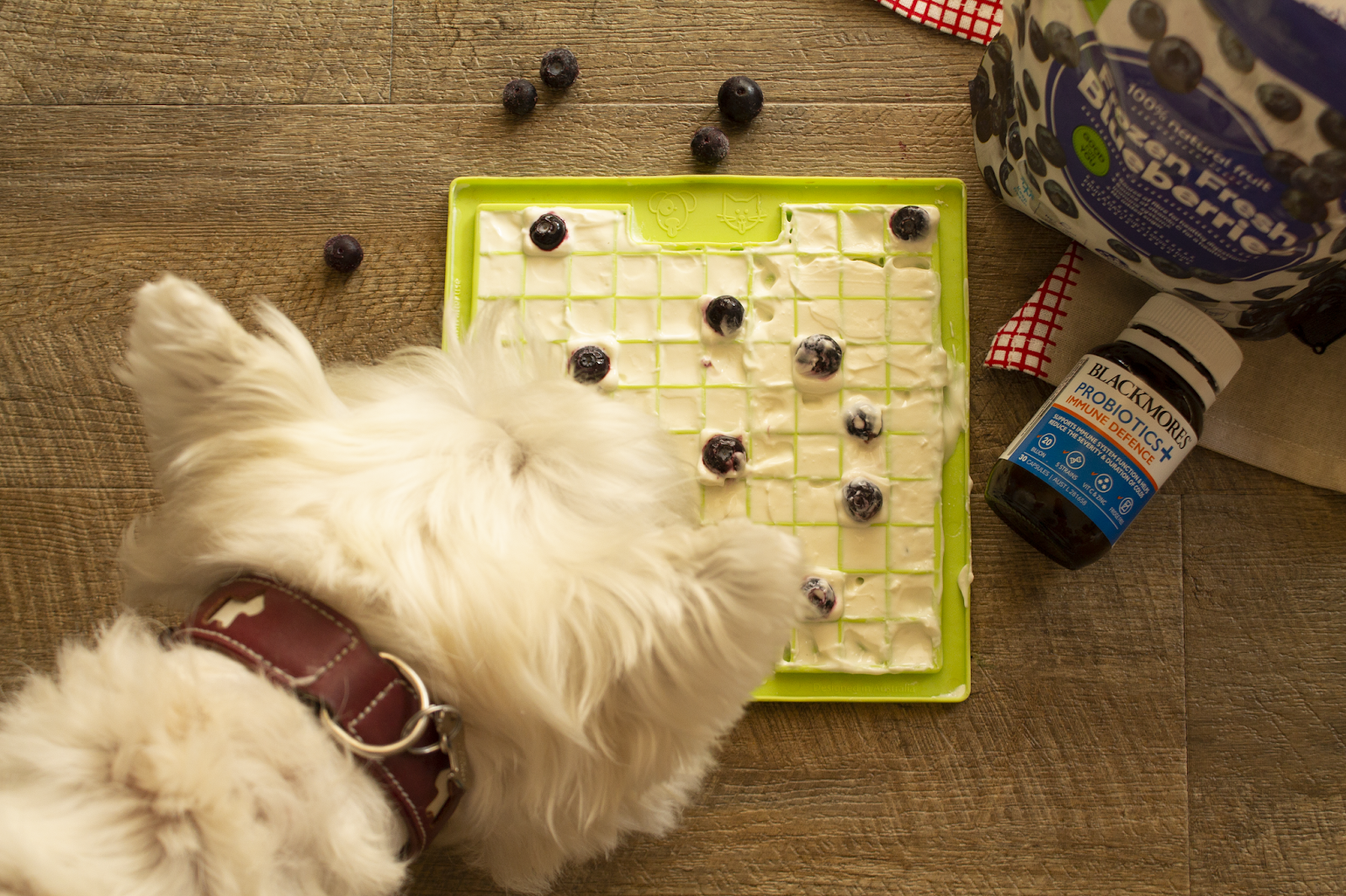 What are Lick Mats + How to Make Them – Pet Naturals Blog
