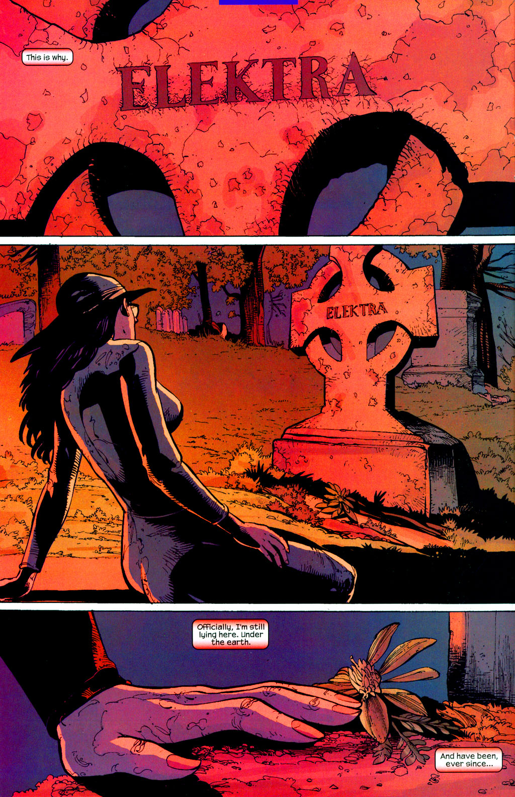 Read online Elektra (2001) comic - Issue #35 - 3