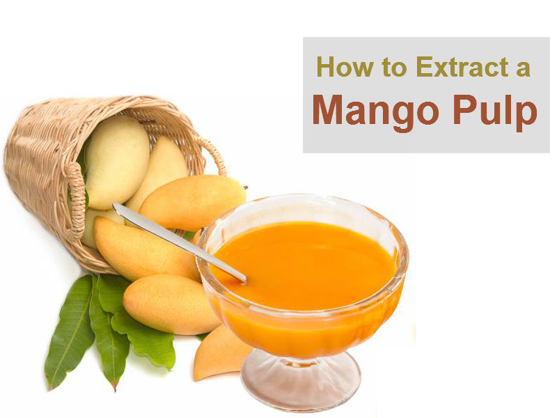 Fruit Pulp Exporters How to Extract a Mango Pulp