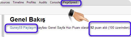 Dinamik Blog Pagespeed 