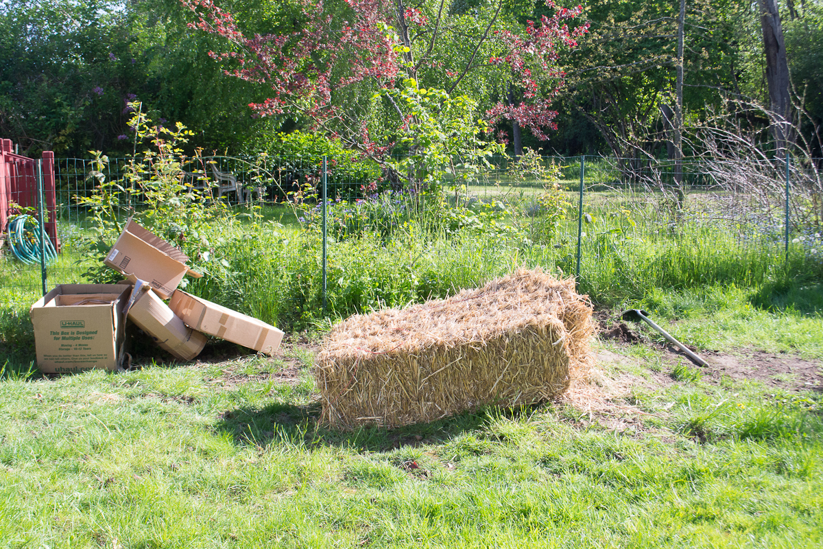 TRULY ORIGINAL ORGANICS Back yard Straw Garden