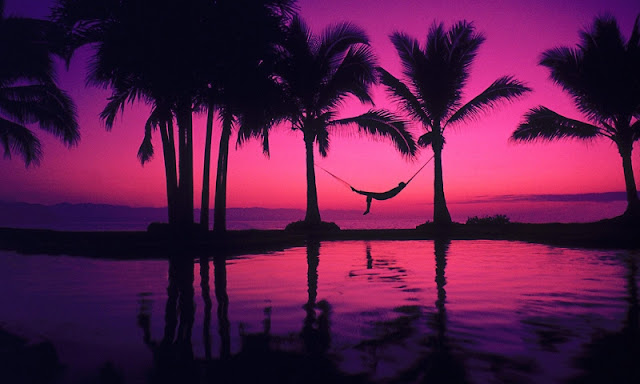 download besplatne slike za mobitele ljeto plaža more zalazak sunca palme