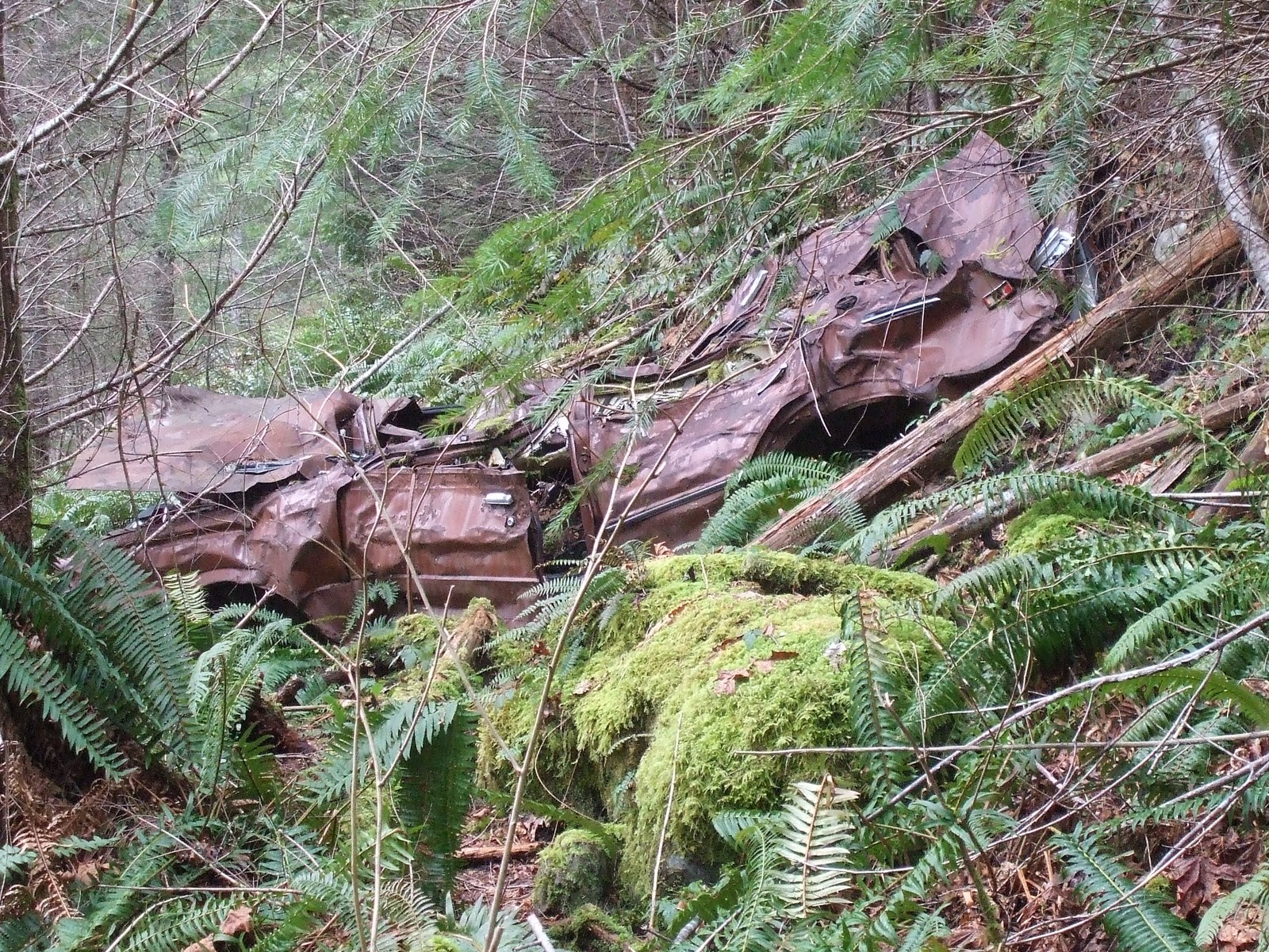 A Homeschool Mom's Hiking Blog: Old Robe Canyon Trail