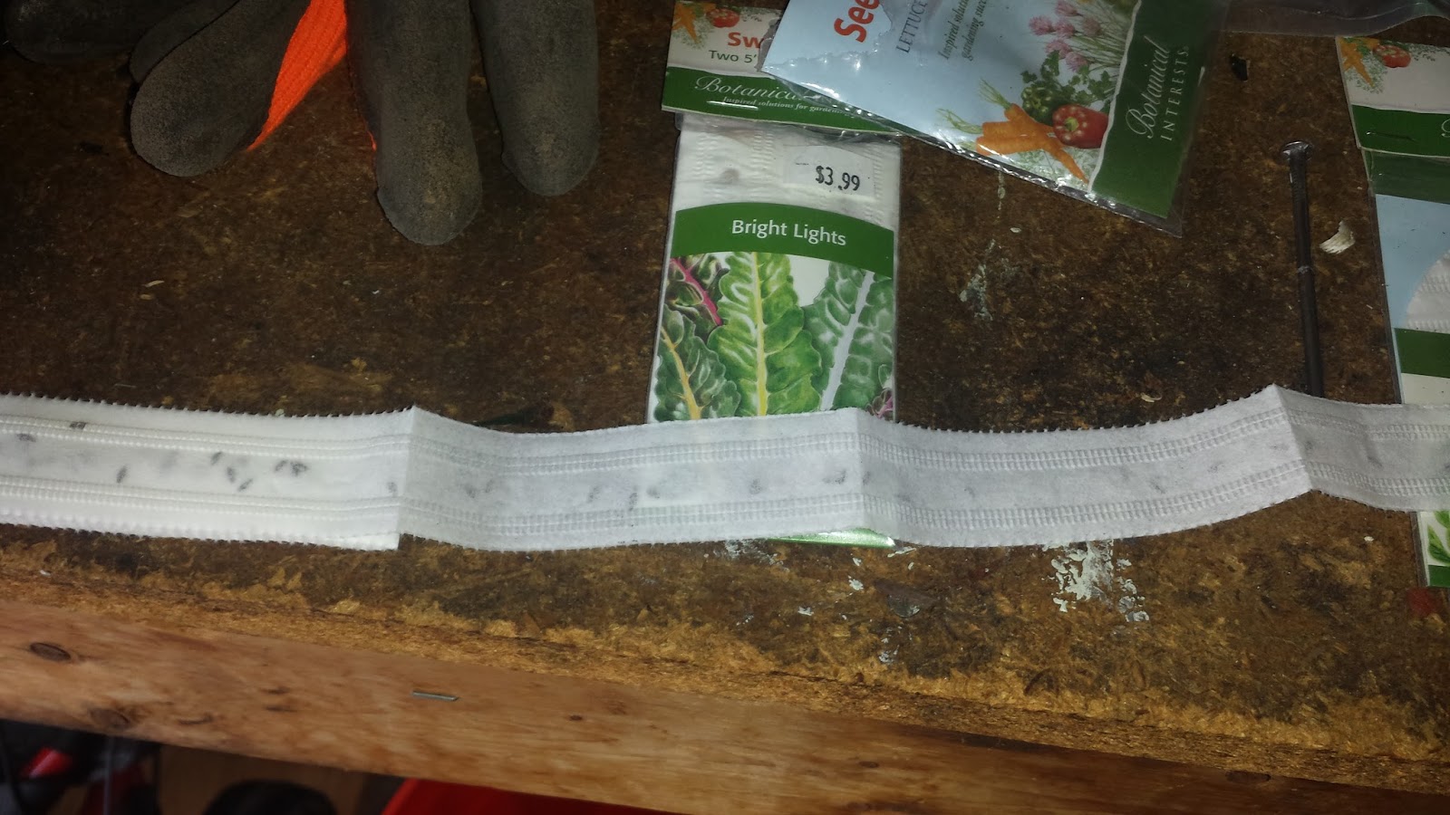 Co Horts Seed Tape It Works