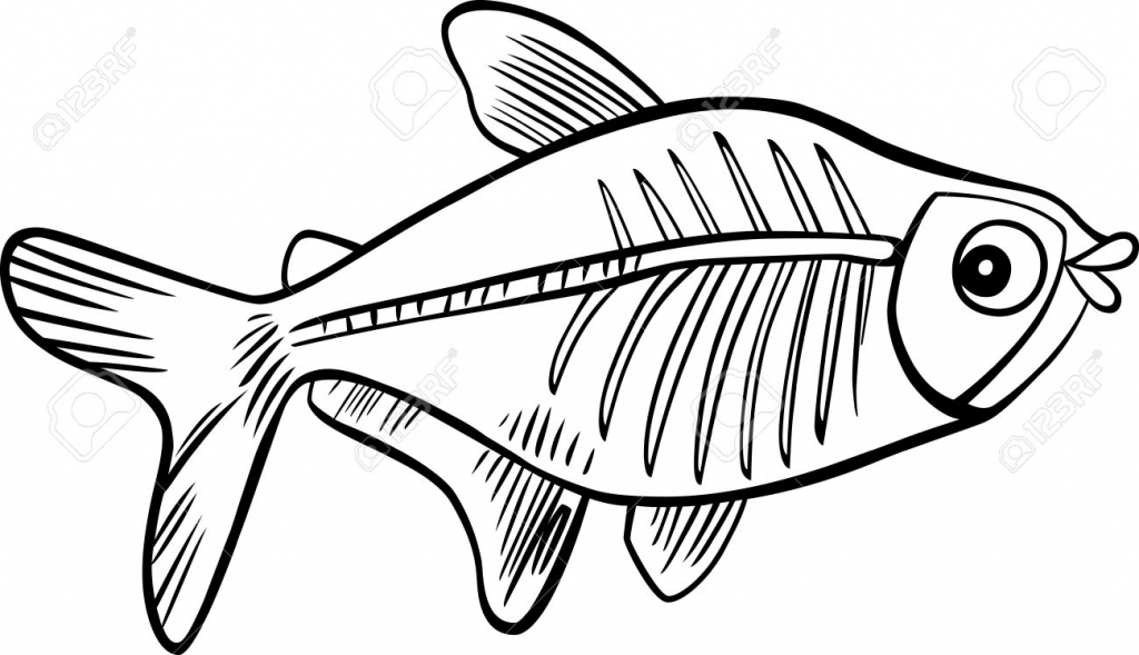 X-ray fish coloring page