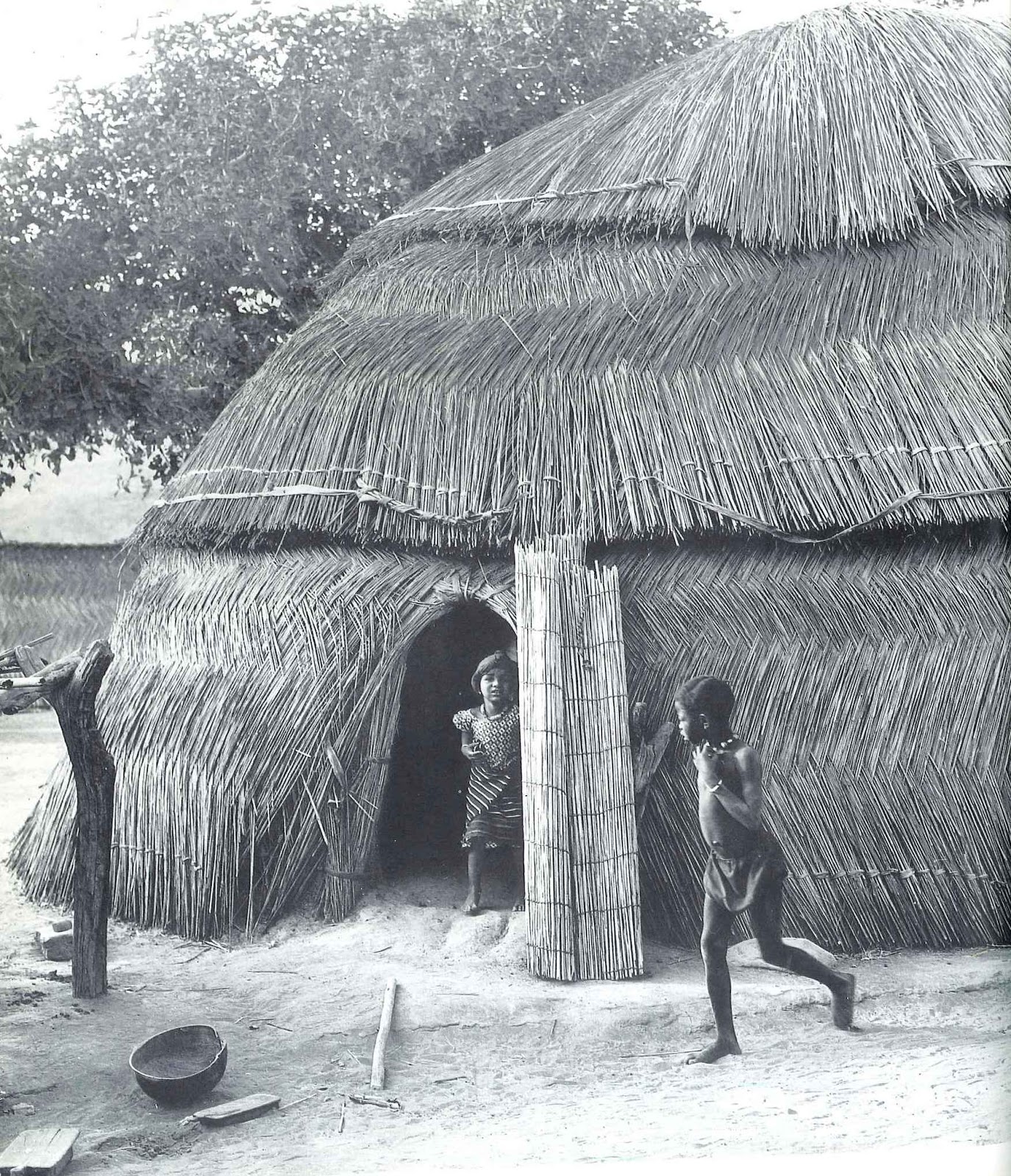 JOHN STEFANIDIS ARCHITECTURE WITHOUT ARCHITECTS Part III