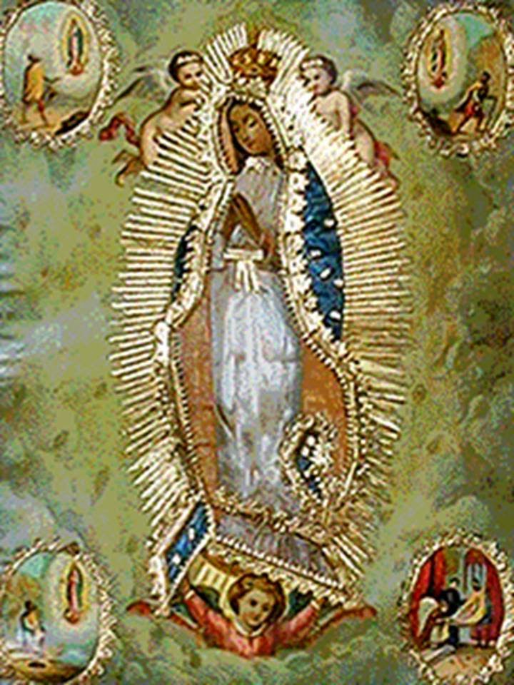 Guadalupe diagosti