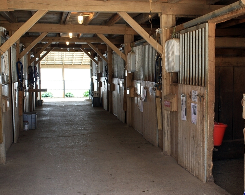 Ellington Stables HORSE BOARDING