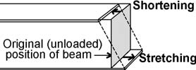 FIGURE 6 Shortening and stretching (compression and tension) at a typical beam cross section