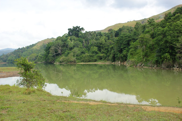 Wonderful Indonesia! Kenalkan Primadona Suaka Marga Satwa Barumun di Padang Lawas, Danau Tasik