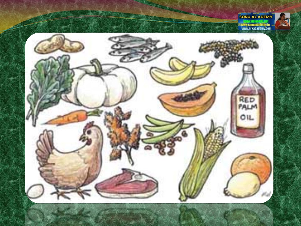 SONU ACADEMY FOODWHERE IT COMES FROMTEXT