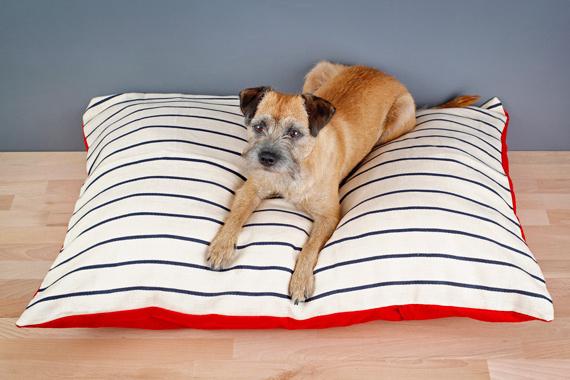 19 chiếc giường tuyệt vời dành cho thú cưng của bạn