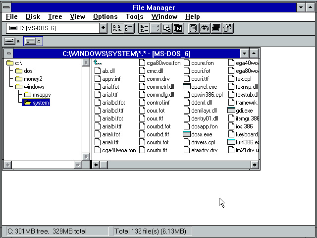 Windows 3.1 File Manager