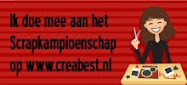 Scrapkampioenschap