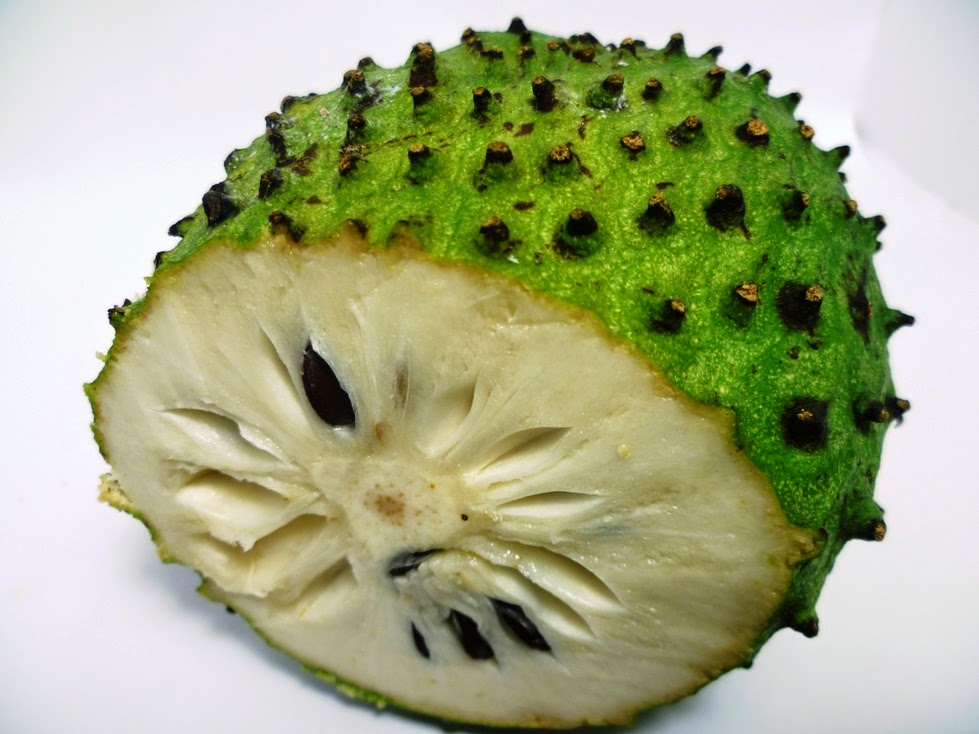 4. CIRI UNIK TANAMAN BUAH SIRSAK YANG BERKHASIAT MENGOBATI ...