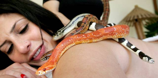 Slikovni rezultat za snakes massage