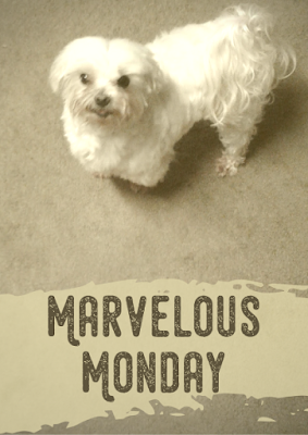 Marvelous Monday: September 25th Edition Marvelous Monday, Lexi, Charity Rowell, On My Kindle Book Reviews