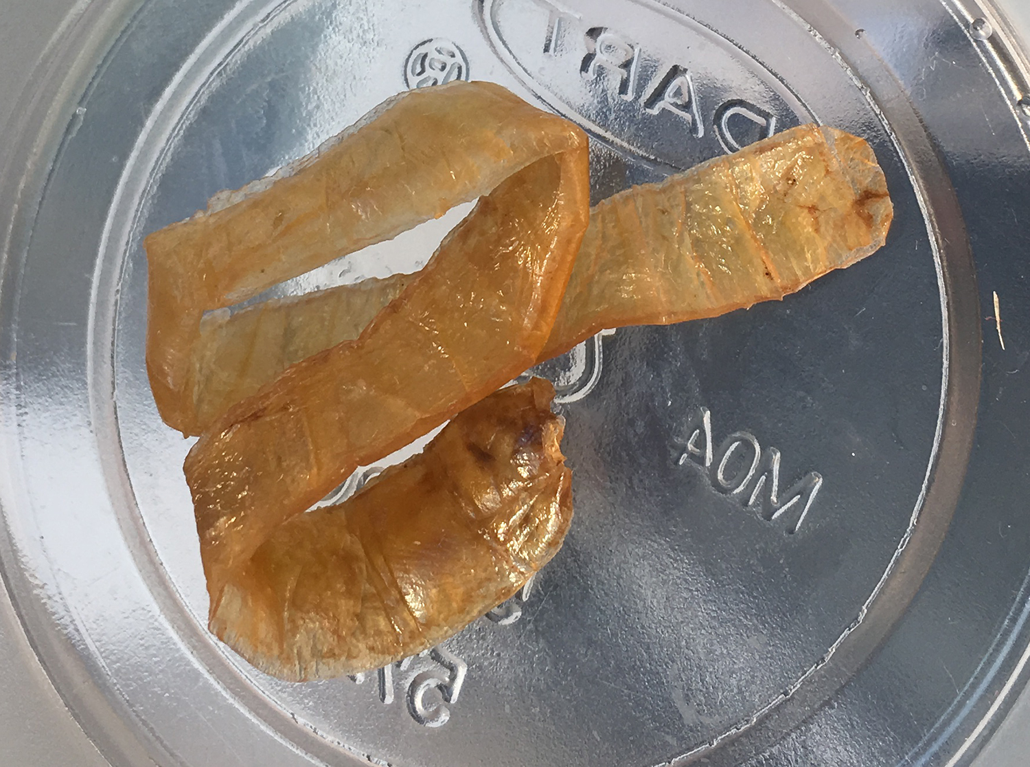 Creepy Dreadful Wonderful Parasites Case of the Week 441