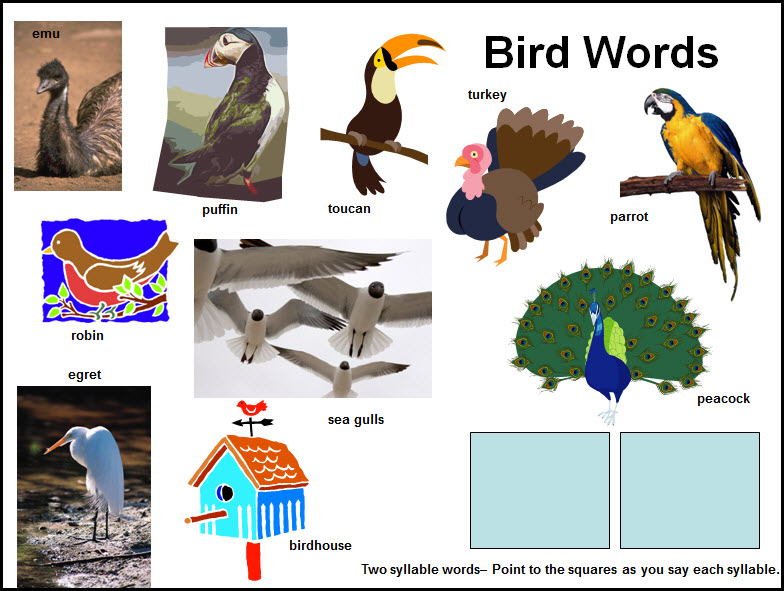 Найти слово птицы 3. Bird Word. Birds Words for Kids. Задания по теме птицы. Birds Vocabulary for Kids.
