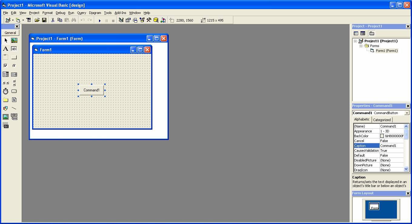Command Button of Visual Basic 6.0