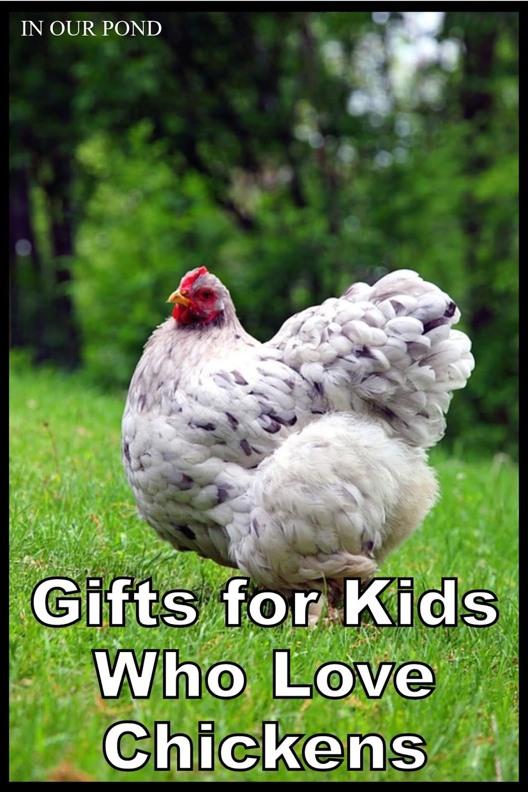 Gifts for Children Who Love Chickens (a gift guide)