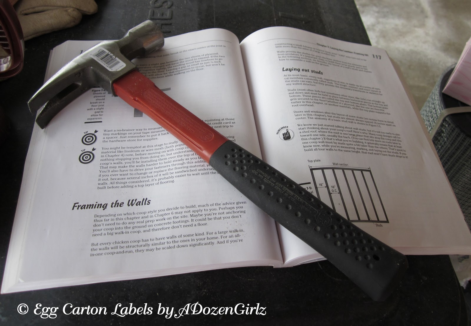 He used the book Building Chicken Coops for Dummies " as a reference