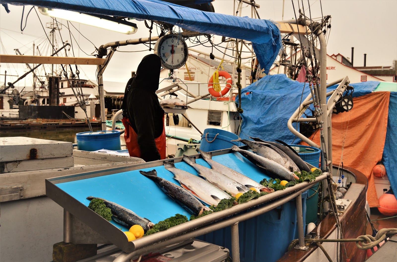 Рыбацкий рынок