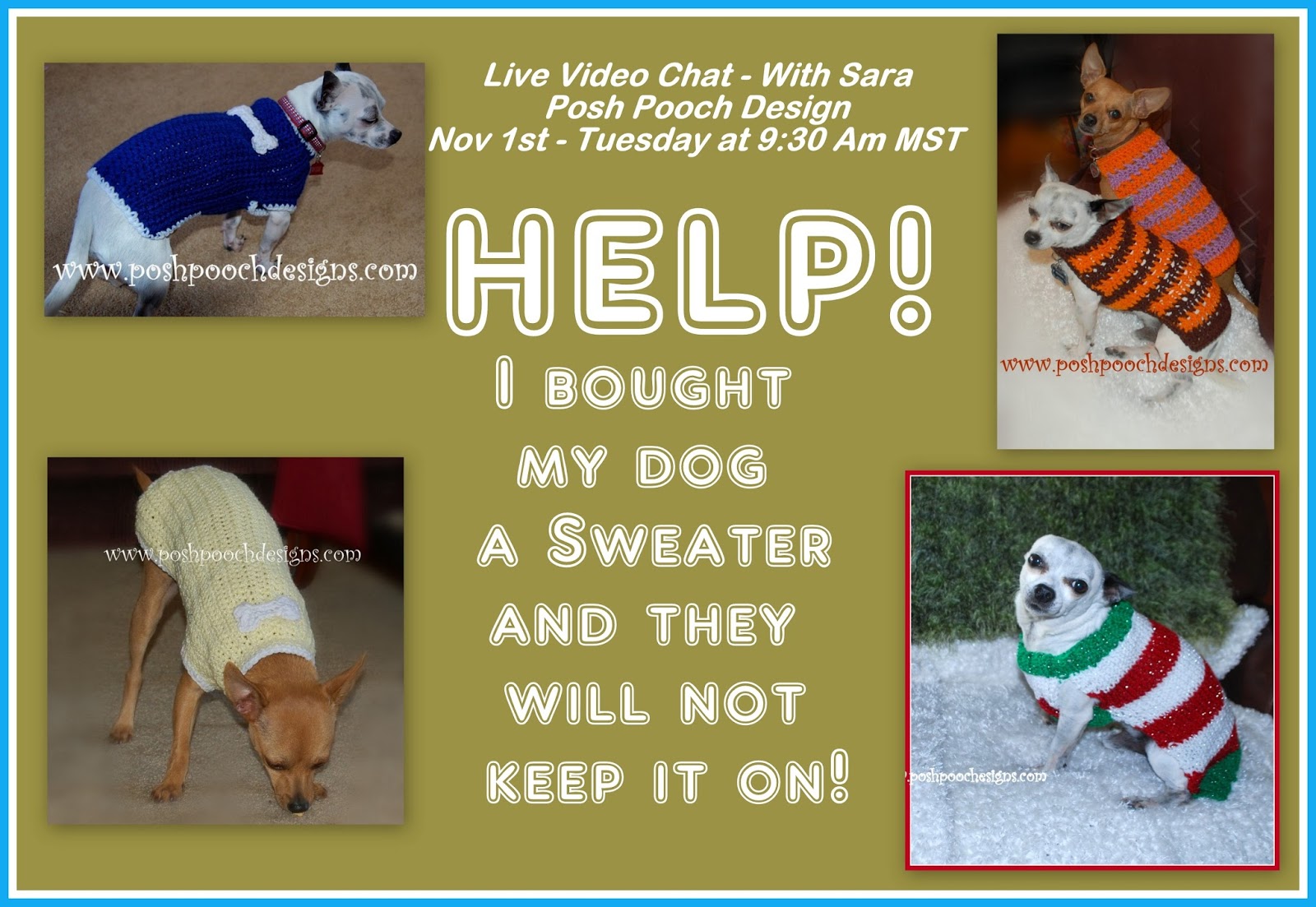 Posh Pooch Designs Live Video Chat Help! My dog Won't wear His