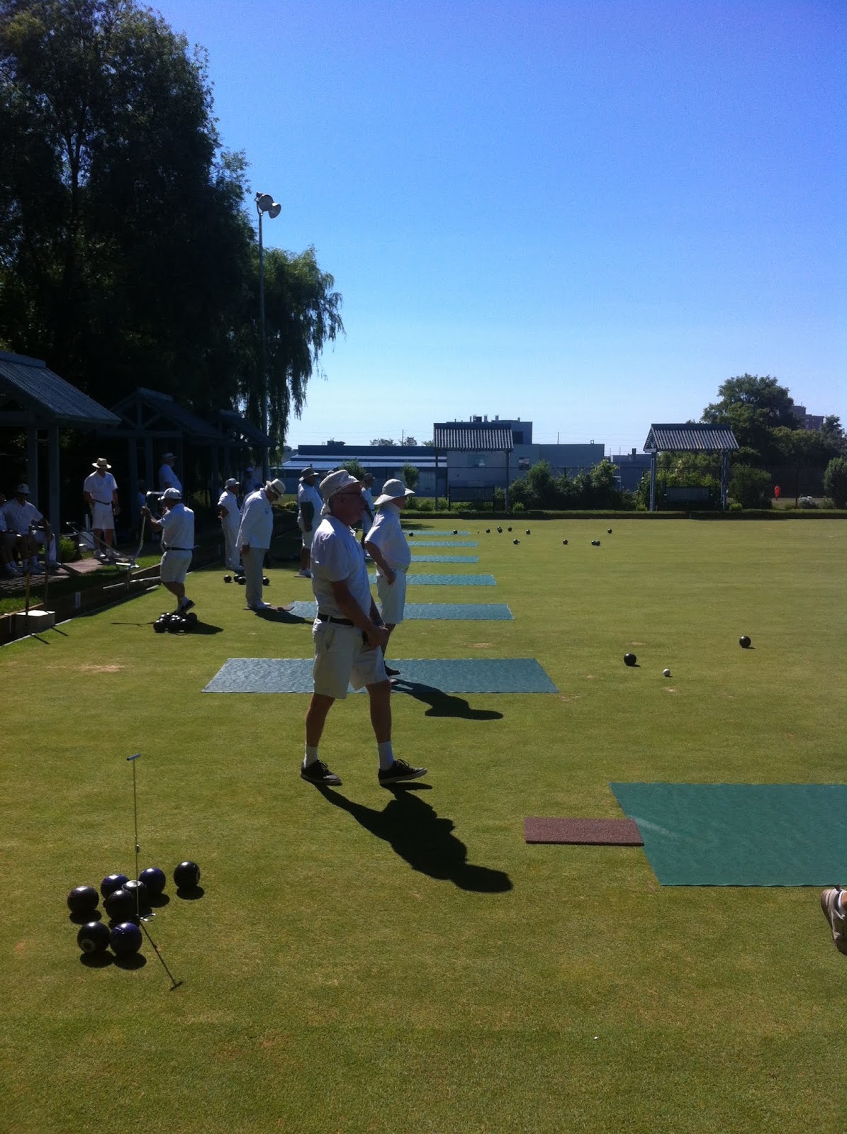 The Greenbowler The Experiences and Insights of a Lawn Bowler