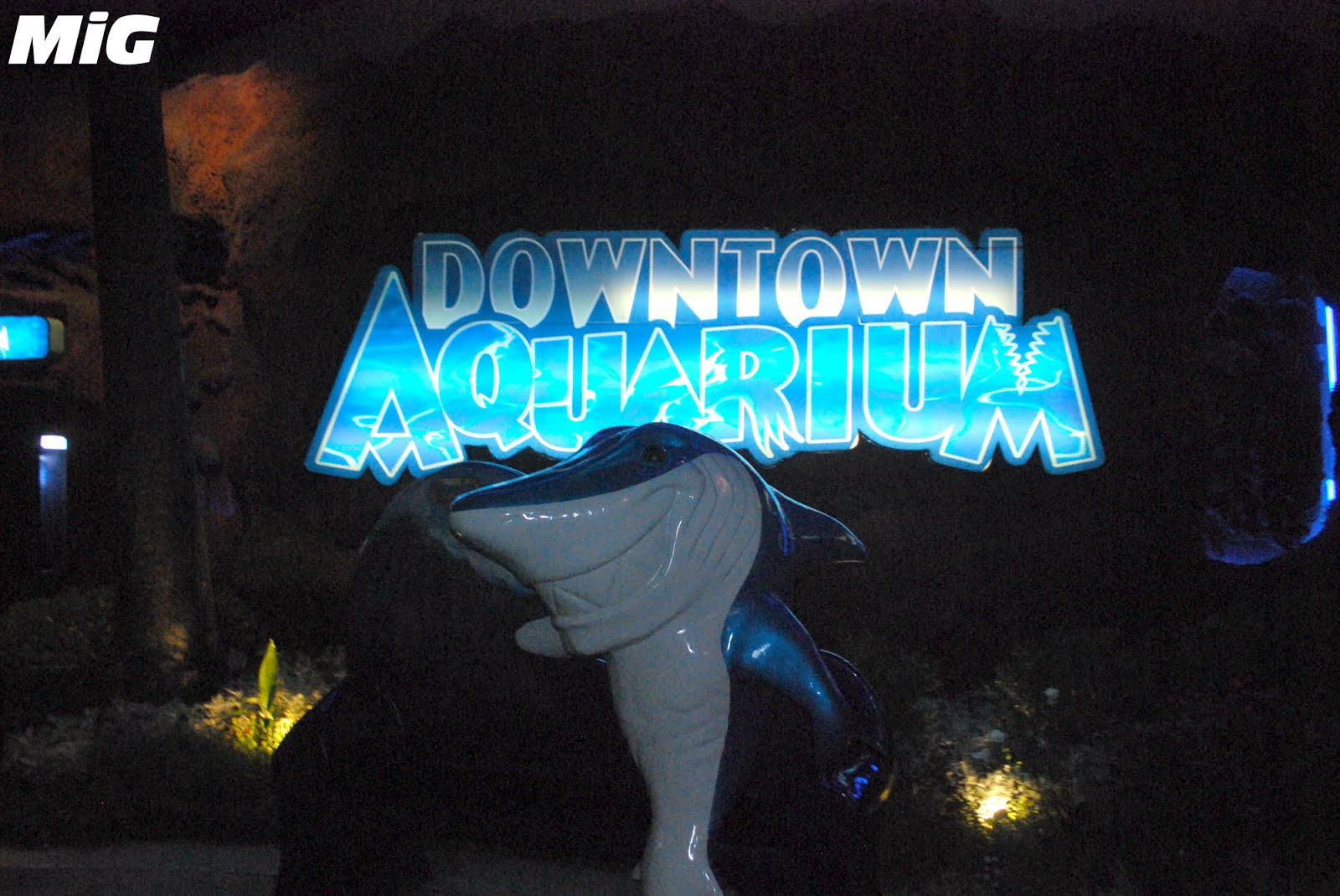 MidwestInfoGuide Downtown Aquarium Houston