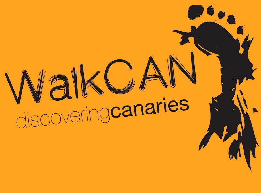 WalkCAN Discovering Canaries