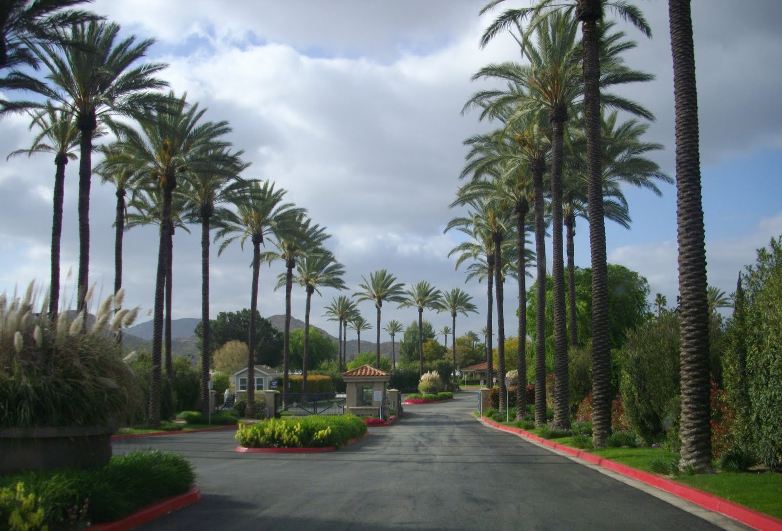 Random Pictures: Golden Village