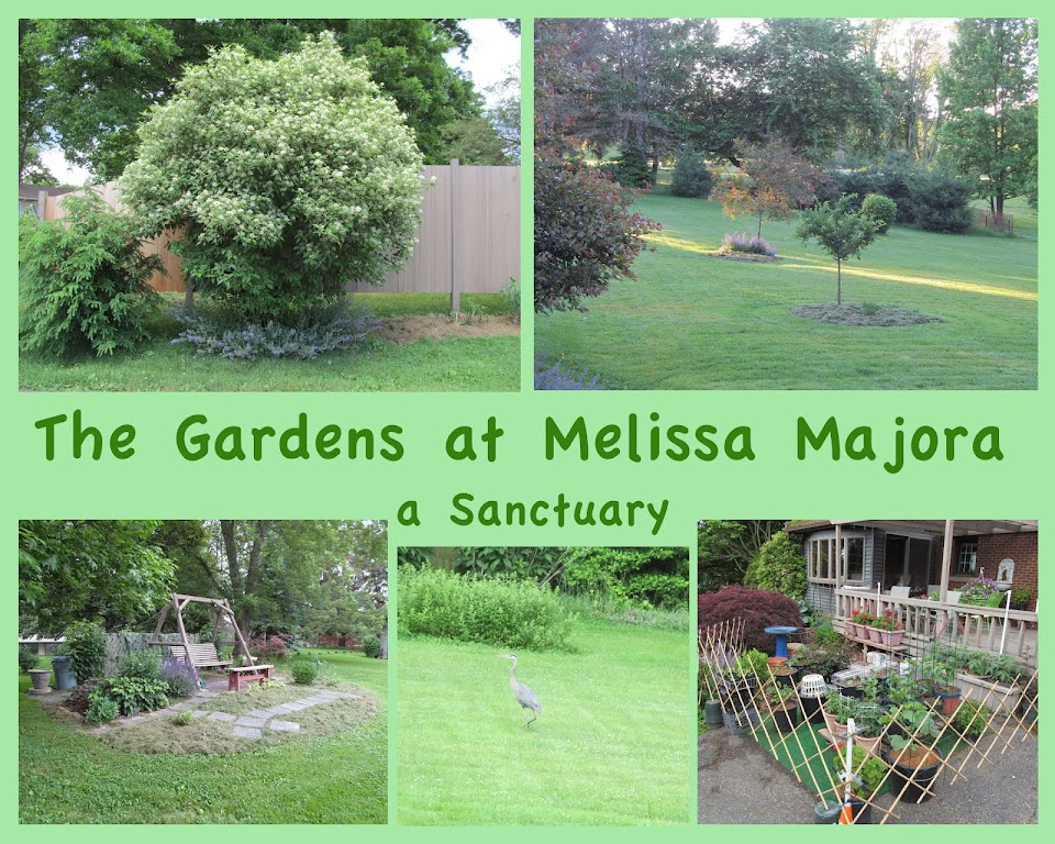 The Gardens at Melissa Majora - a Honeybee Sanctuary