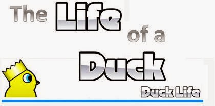 The Life of a Duck - DuckLife