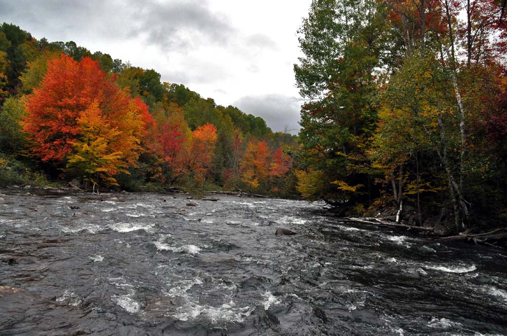Toronto Grand Prix Tourist A Toronto Blog Fall colours in Haliburton A Toronto Blog