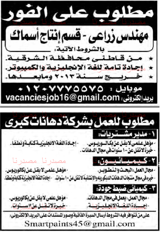 الاهرام - وظائف خالية فى جريدة الاهرام الجمعة 15-07-2016 %25D9%2588%25D8%25B8%25D8%25A7%25D8%25A6%25D9%2581%2B%25D8%25AC%25D8%25B1%25D9%258A%25D8%25AF%25D8%25A9%2B%25D8%25A7%25D9%2584%25D8%25A7%25D9%2587%25D8%25B1%25D8%25A7%25D9%2585%2B%25D8%25A7%25D9%2584%25D8%25AC%25D9%2585%25D8%25B9%25D8%25A9%2B%252822%2529